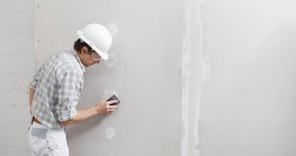 Reliable Ferndale, MI Drywall & Painting Services Solutions